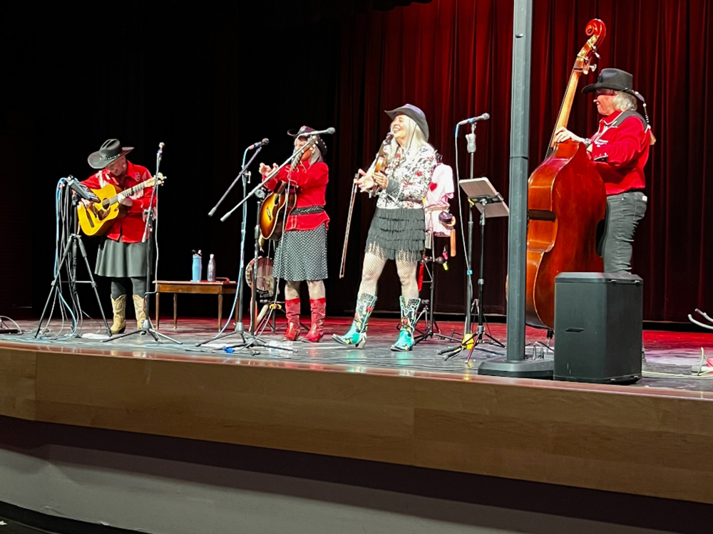 Performer or group name