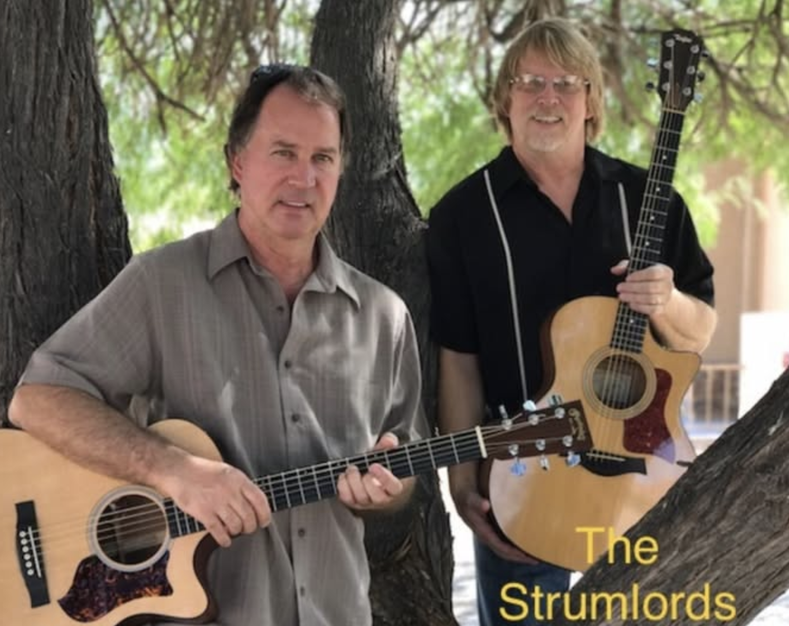 Performer or group name